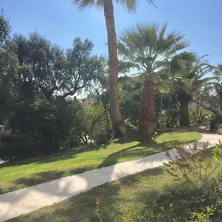 Apartment Studio Alexandra Palace Cannes